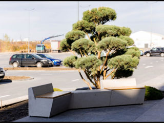 Bancă din beton smart / бетонная скамейка "смарт"