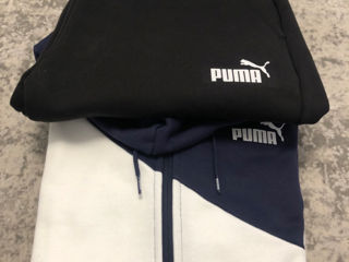 Puma costum org foto 3