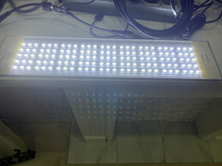 LED осветительные приборы