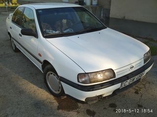 Nissan Primera foto 3