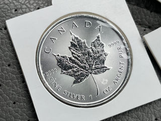 Lingouri / Monede Argint 31.1gr 1oz .999 слитки / монеты серебро золото