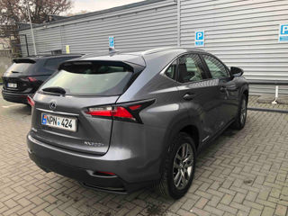 Lexus NX Series