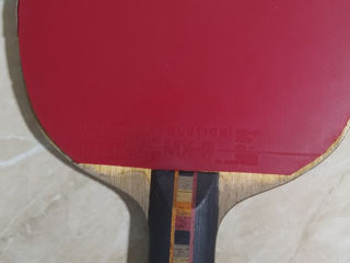 Paleta tenis de masa foto 1