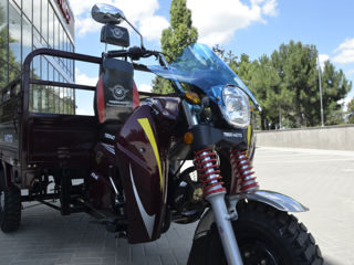 Tiger 200cc/2023 foto 15