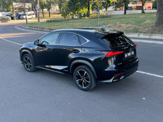 Lexus NX Series foto 8