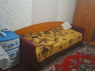 In cirie