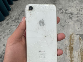 Iphone Xr 64gb foto 7