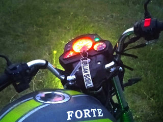 Forte Fire Fox 150 foto 10