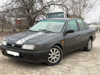 Nissan Primera foto 3