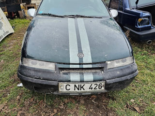 Opel Calibra