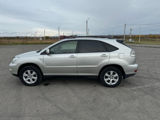 Lexus RX Series