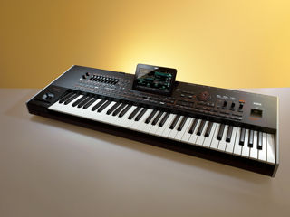 Vand Korg Pa 4X  61 de clape foto 3