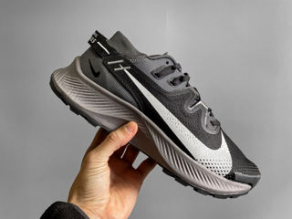 Nike Pegasus Trail 2 Black/Grey
