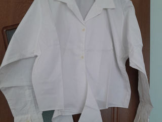Vind diverse bluze albe,toate noi,calitative,naturale,M,L,XL,toate Italia