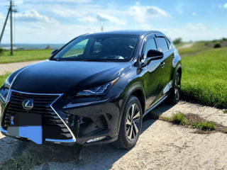 Lexus NX Series foto 3