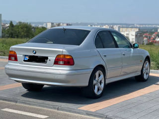 BMW 5 Series foto 5