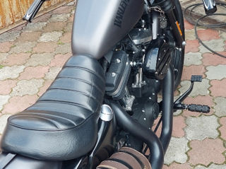 Harley - Davidson Iron  883  .сказка foto 2
