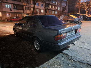 Nissan Primera foto 4