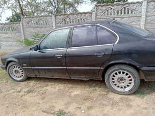 BMW 5 Series foto 4