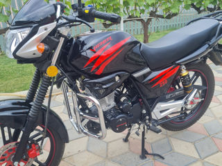 Viper 250 foto 6