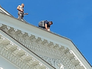 Tepi de protectie pentru cladiri impotriva pasarilor! foto 10