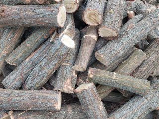Vînd lemne tăiate gata de pus pe foc prețu este de 950 lei cubu adus până la  domiciliu