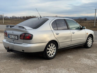 Nissan Primera foto 4