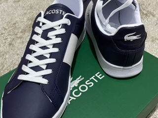 Lacoste