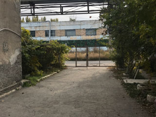 Chirie Spatiu Comercial / Industrial / Depozit / Producere  - 780m2 foto 8