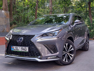 Lexus NX Series