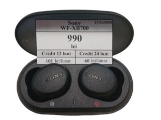 Наушники Sony WF-XB 700