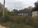 Se vinde casa cu teren! 0.11ha (11 sotci) la Cobusca Noua, raionul Anenii Noi foto 2