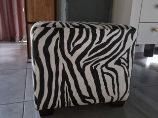 PUFF zebra