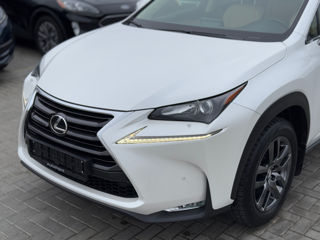 Lexus NX Series foto 16