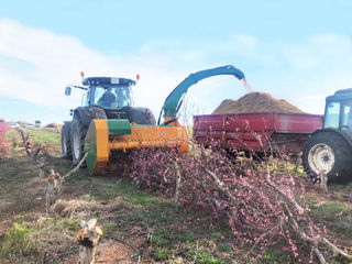 Mulcher (tocator pentru biomasa) serrat foto 4