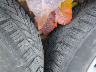 Michelin Alpin 6 - 195 /65 R15 (Toyota) foto 11