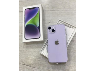 iPhone 14 Plus purple