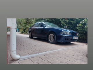 BMW 5 Series foto 5