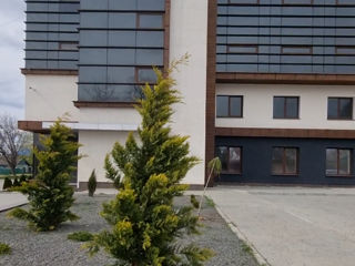 Apartament cu 2 camere,  Centru,  Cahul,  Cahul foto 0
