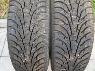 175 70 r13 maxxis 2 шины  1200 лей за пару foto 0