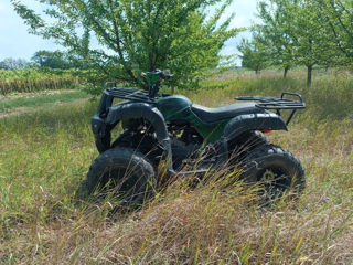 Boss ATV Viper foto 3