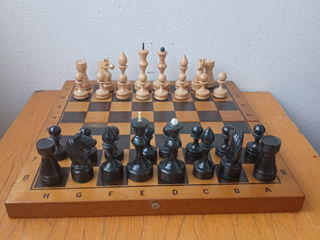 шахматы разные foto 8