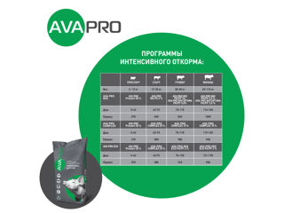 SPMV pentru purcei de până la 12 kg AVA PRO Prestart 30%. 25 kg foto 5