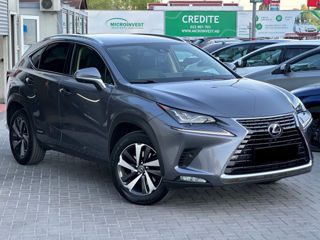 Lexus NX Series