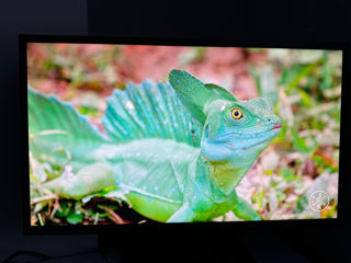 Игровой монитор Asus MG278Q 2K 27’ 144hz фото 7
