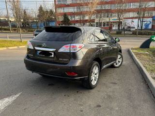 Lexus RX Series