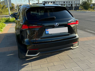 Lexus NX Series foto 5