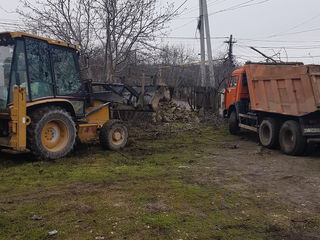 Огороды.Деревья. Вырубка. Резка. Выкорчёвка. Вывоз мусора. Taiem copaci. Curatenie in gradina foto 5