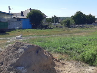 Lot de pămînt în satul Ghidighici pretul 2500€/ar foto 5