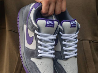 Nike Sb Dunk Low Purple Pigeon Unisex foto 3